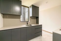 The Landmark (D3), Condominium #539918551